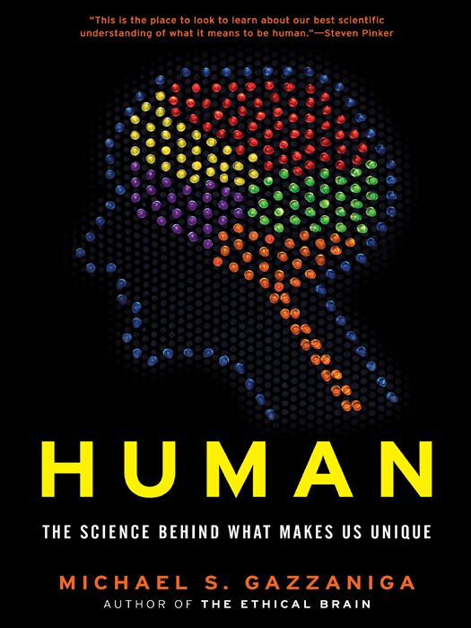 Human